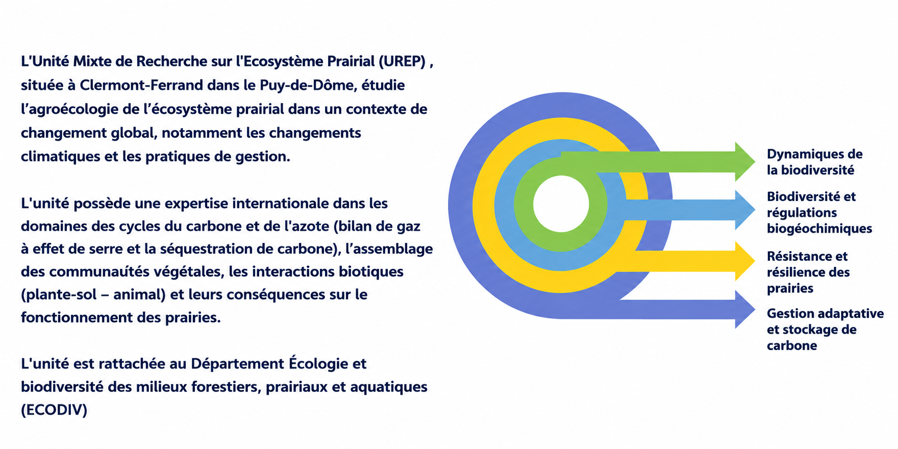 texte-schema.png