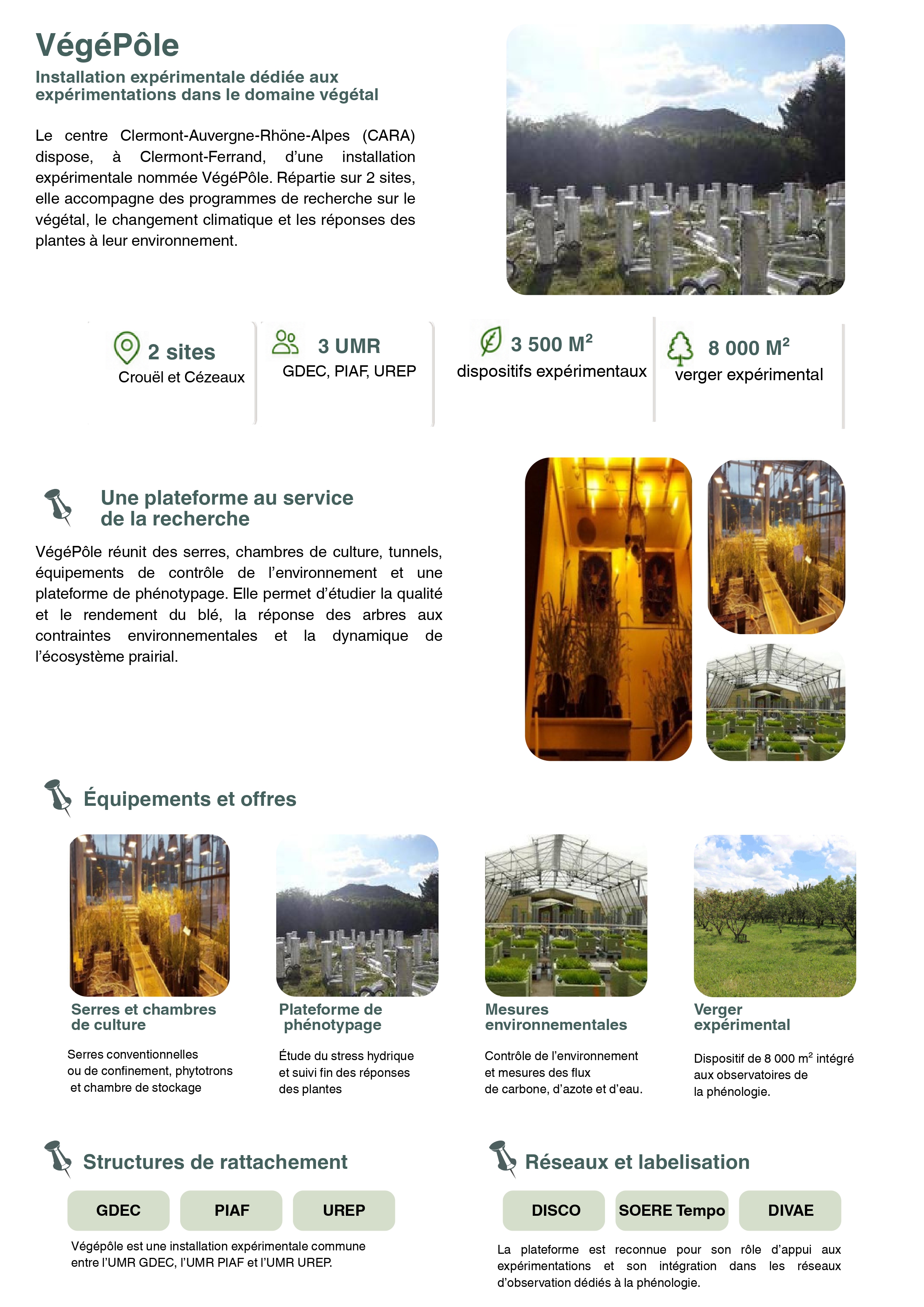 VEGEPOLE_VF_page_web.jpg