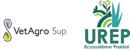 Logo_urep